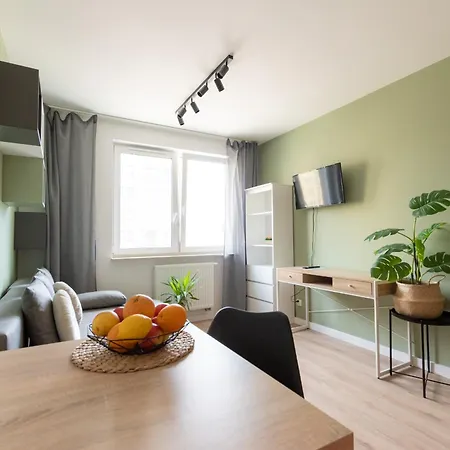 Meiera كراكوفيا