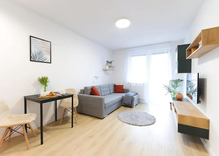 Meiera * كراكوفيا