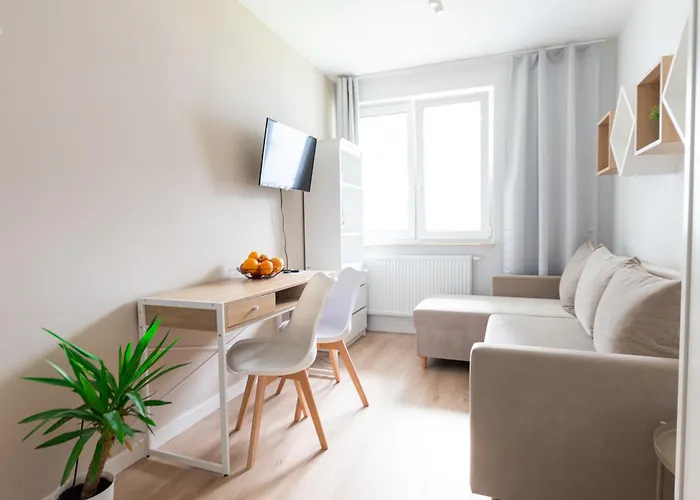 Meiera كراكوفيا